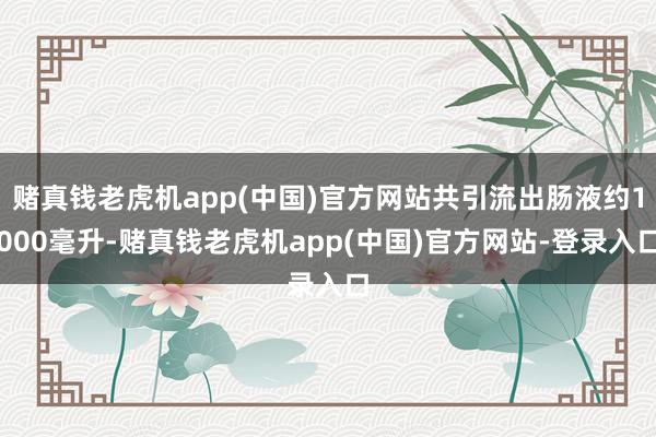 赌真钱老虎机app(中国)官方网站共引流出肠液约1000毫升-赌真钱老虎机app(中国)官方网站-登录入口